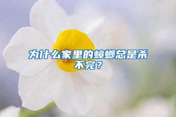 為什么家里的蟑螂總是殺不完？