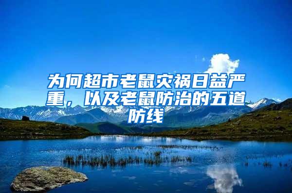 為何超市老鼠災禍日益嚴重，以及老鼠防治的五道防線