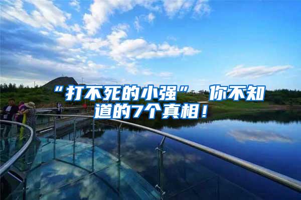 “打不死的小強” 你不知道的7個真相！