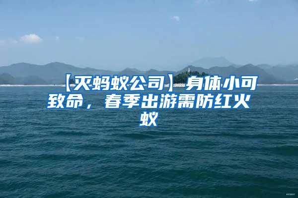 【滅螞蟻公司】身體小可致命，春季出游需防紅火蟻