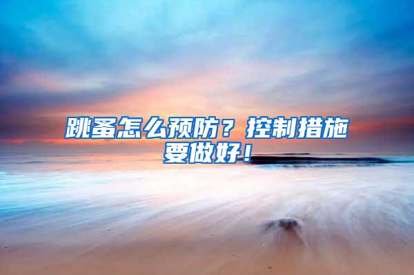 跳蚤怎么預防？控制措施要做好！