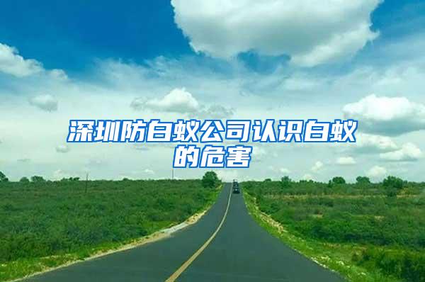 深圳防白蟻公司認識白蟻的危害