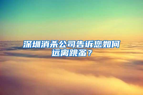 深圳消殺公司告訴您如何遠離跳蚤？