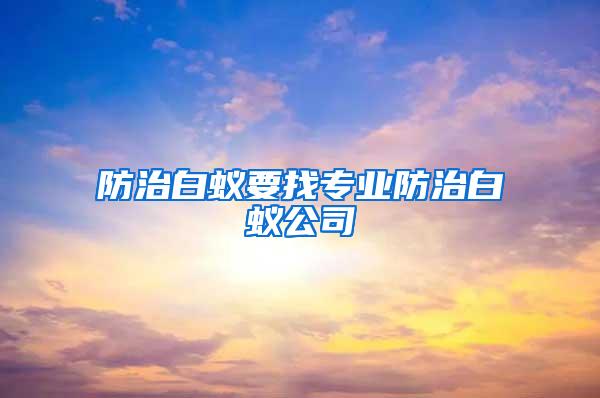 防治白蟻要找專業防治白蟻公司