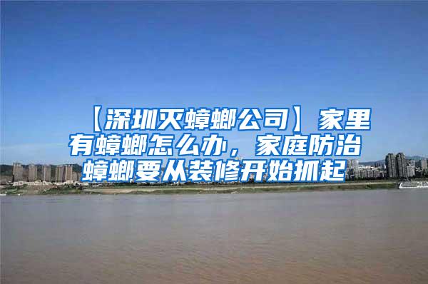 【深圳滅蟑螂公司】家里有蟑螂怎么辦，家庭防治蟑螂要從裝修開始抓起