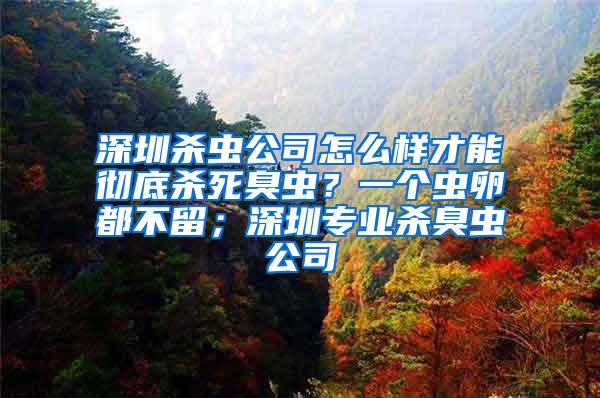 深圳殺蟲公司怎么樣才能徹底殺死臭蟲？一個蟲卵都不留；深圳專業殺臭蟲公司