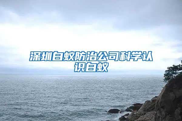 深圳白蟻防治公司科學認識白蟻