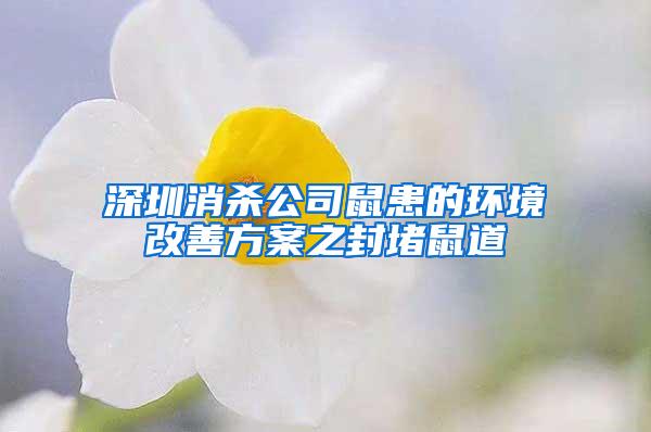 深圳消殺公司鼠患的環境改善方案之封堵鼠道