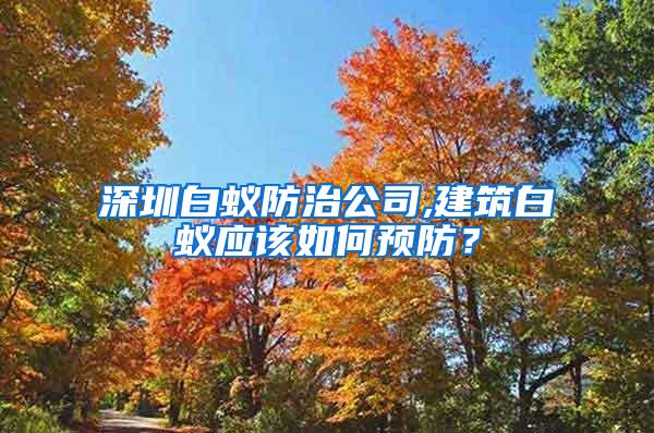 深圳白蟻防治公司,建筑白蟻應該如何預防？