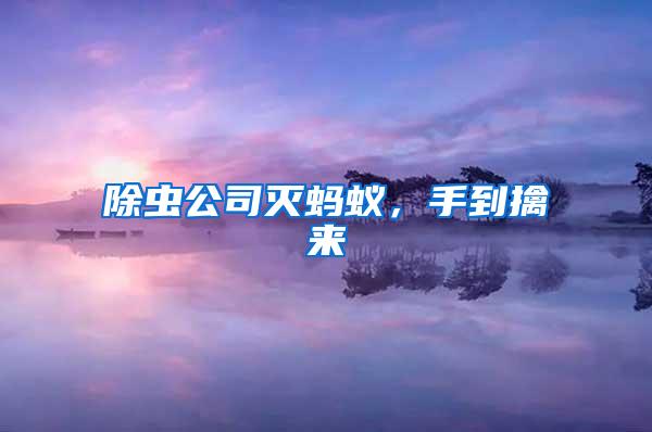 除蟲(chóng)公司滅螞蟻，手到擒來(lái)