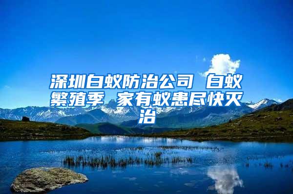 深圳白蟻防治公司 白蟻繁殖季 家有蟻患盡快滅治