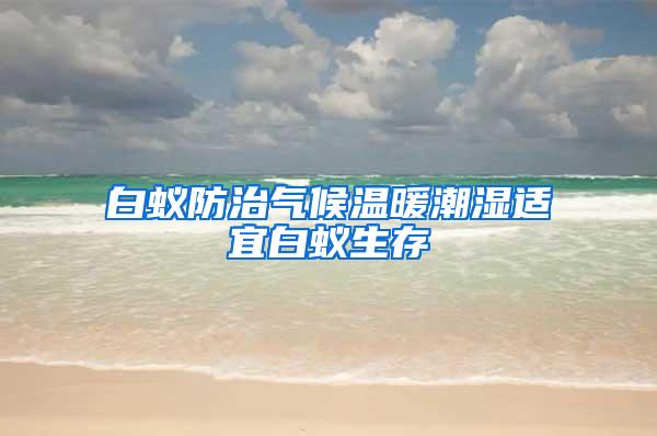 白蟻防治氣候溫暖潮濕適宜白蟻生存