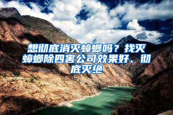 想徹底消滅蟑螂嗎？找滅蟑螂除四害公司效果好、徹底滅絕