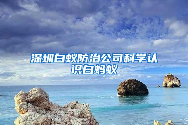 深圳白蟻防治公司科學認識白螞蟻