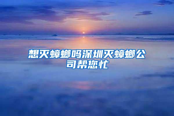 想滅蟑螂嗎深圳滅蟑螂公司幫您忙