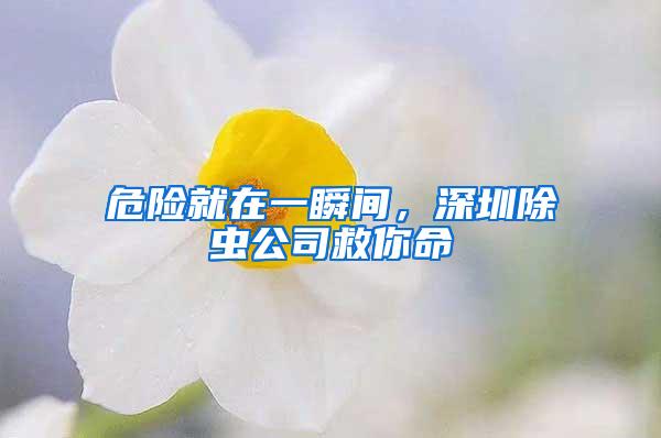 危險就在一瞬間，深圳除蟲公司救你命