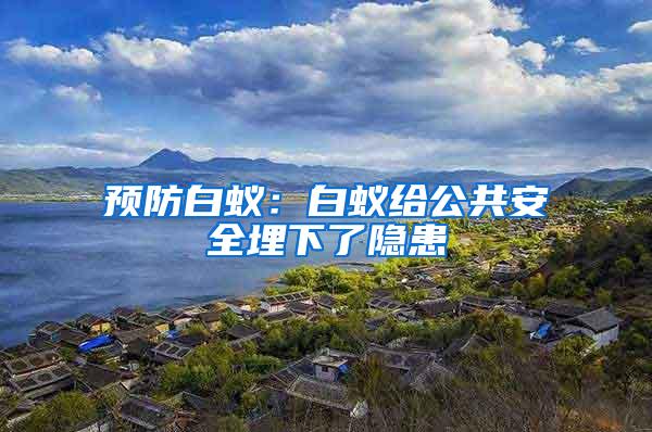 預(yù)防白蟻：白蟻給公共安全埋下了隱患