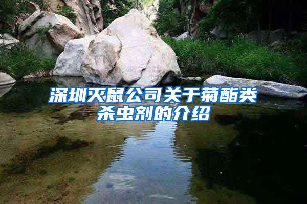 深圳滅鼠公司關于菊酯類殺蟲劑的介紹