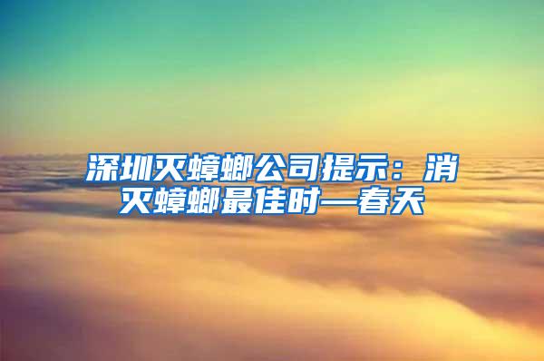 深圳滅蟑螂公司提示：消滅蟑螂最佳時—春天