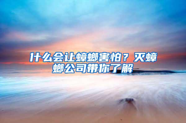 什么會(huì)讓蟑螂害怕？滅蟑螂公司帶你了解