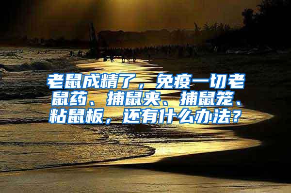 老鼠成精了，免疫一切老鼠藥、捕鼠夾、捕鼠籠、粘鼠板，還有什么辦法？