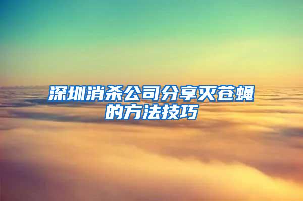 深圳消殺公司分享滅蒼蠅的方法技巧