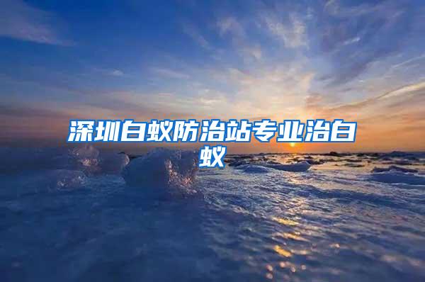 深圳白蟻防治站專業治白蟻