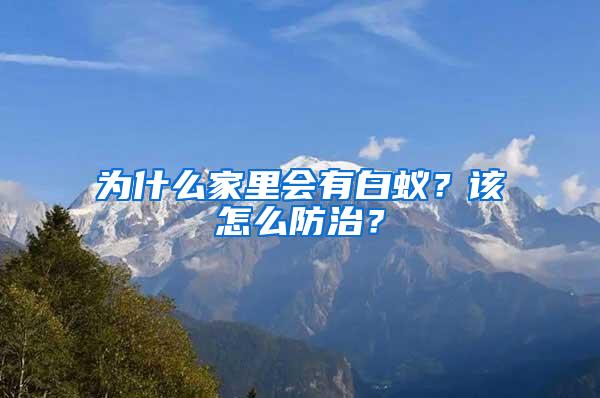 為什么家里會有白蟻？該怎么防治？