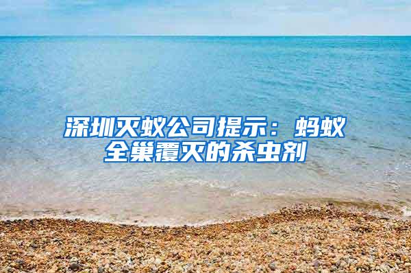 深圳滅蟻公司提示：螞蟻全巢覆滅的殺蟲劑