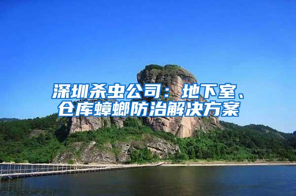 深圳殺蟲公司：地下室、倉庫蟑螂防治解決方案