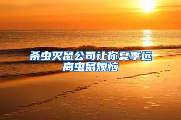 殺蟲滅鼠公司讓你夏季遠離蟲鼠煩惱