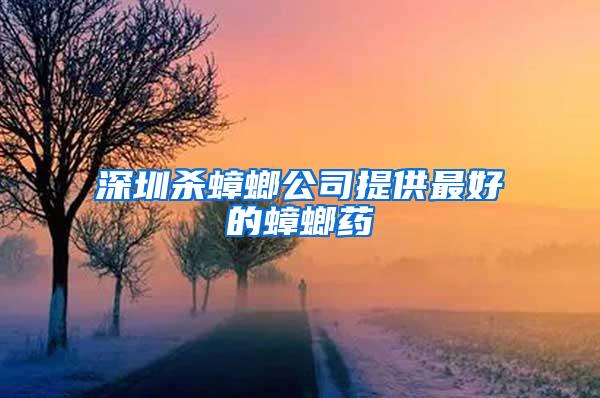 深圳殺蟑螂公司提供最好的蟑螂藥