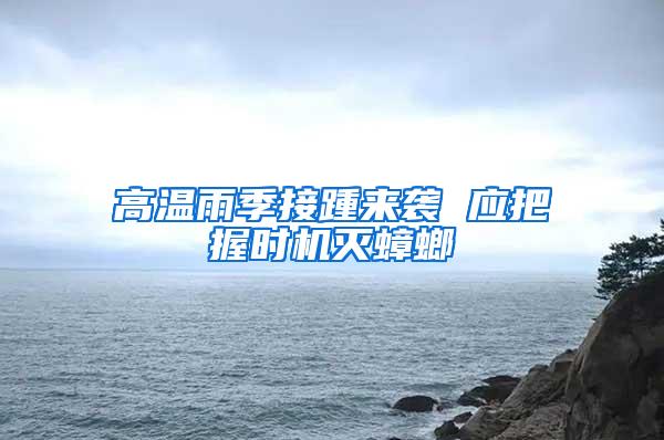 高溫雨季接踵來襲 應把握時機滅蟑螂