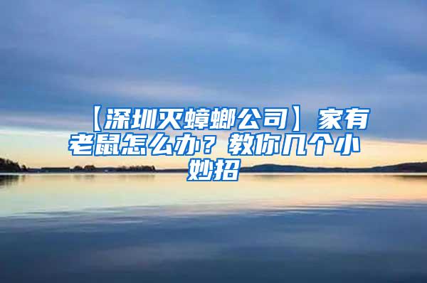 【深圳滅蟑螂公司】家有老鼠怎么辦？教你幾個小妙招