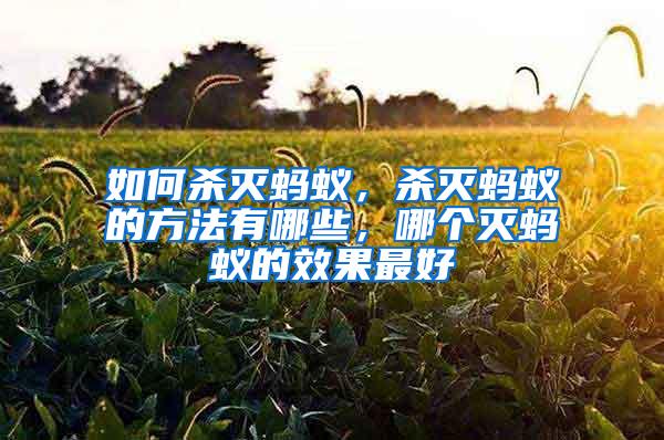 如何殺滅螞蟻，殺滅螞蟻的方法有哪些，哪個滅螞蟻的效果最好