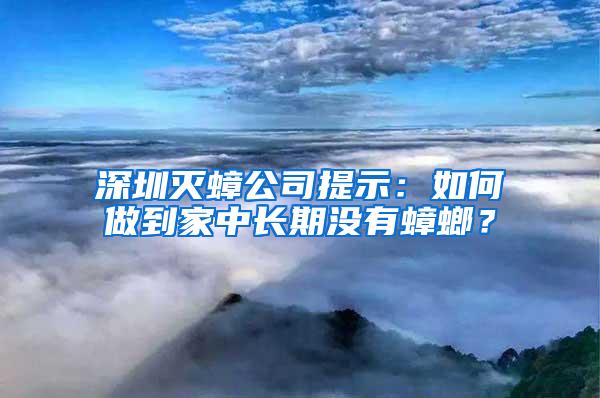 深圳滅蟑公司提示：如何做到家中長期沒有蟑螂？