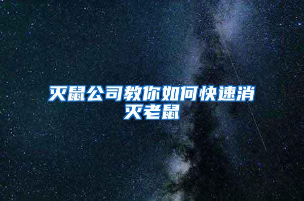 滅鼠公司教你如何快速消滅老鼠