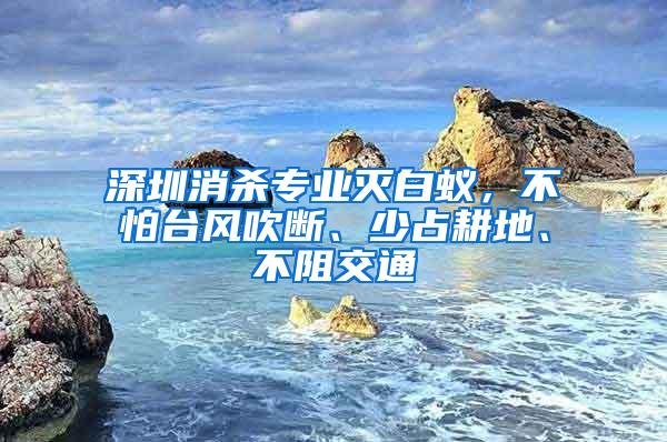 深圳消殺專業滅白蟻，不怕臺風吹斷、少占耕地、不阻交通