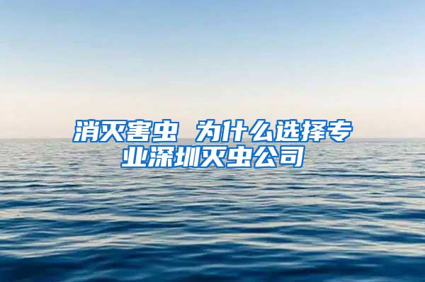 消滅害蟲 為什么選擇專業深圳滅蟲公司