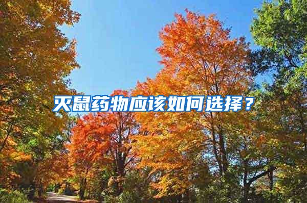 滅鼠藥物應該如何選擇？