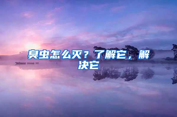 臭蟲怎么滅？了解它，解決它