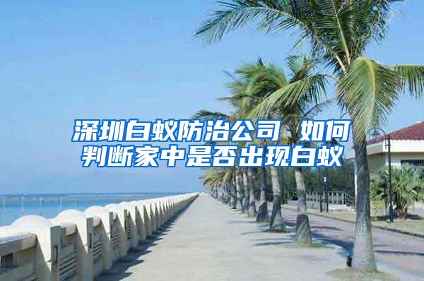 深圳白蟻防治公司 如何判斷家中是否出現白蟻