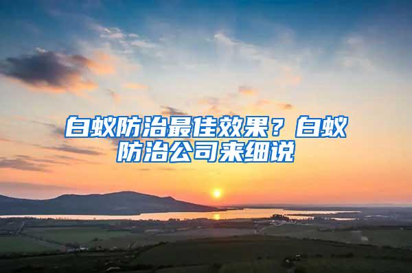 白蟻防治最佳效果？白蟻防治公司來細說