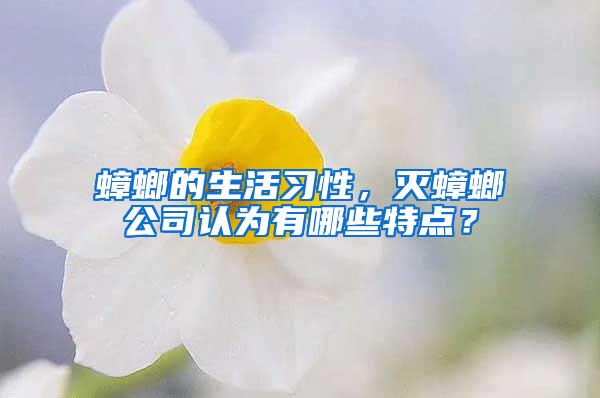 蟑螂的生活習性，滅蟑螂公司認為有哪些特點？