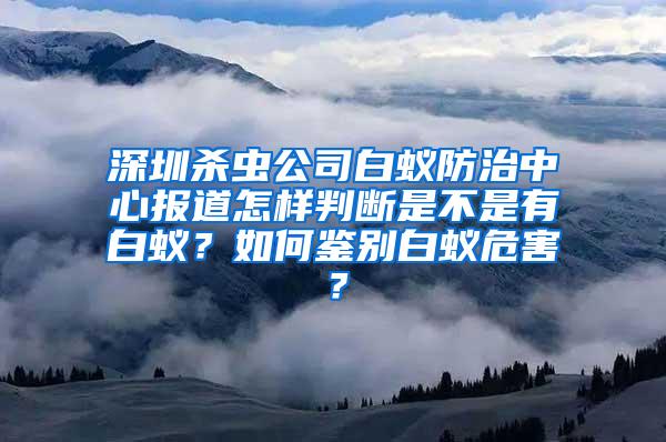 深圳殺蟲公司白蟻防治中心報道怎樣判斷是不是有白蟻？如何鑒別白蟻危害？