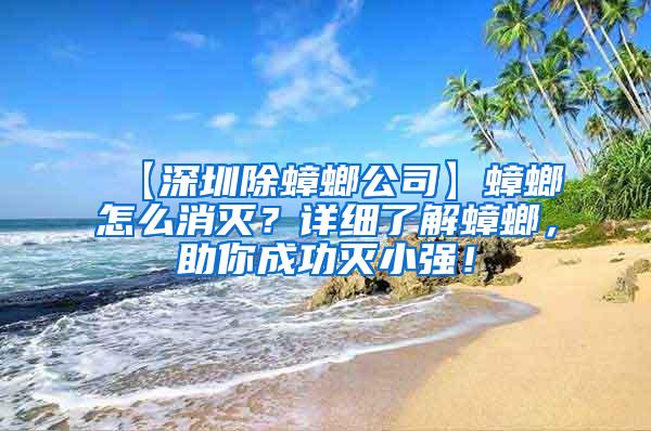 【深圳除蟑螂公司】蟑螂怎么消滅？詳細了解蟑螂，助你成功滅小強！