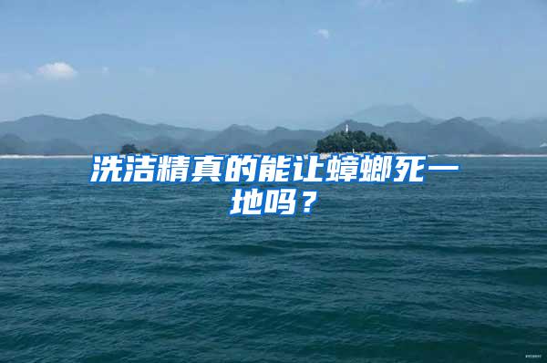 洗潔精真的能讓蟑螂死一地嗎？