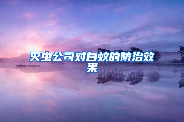 滅蟲公司對(duì)白蟻的防治效果