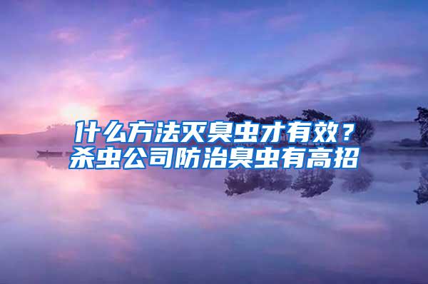 什么方法滅臭蟲才有效？殺蟲公司防治臭蟲有高招