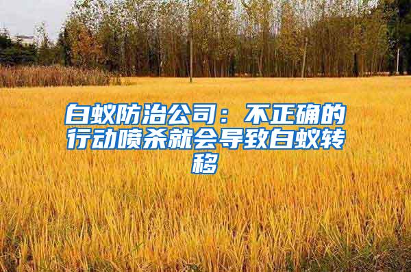 白蟻防治公司：不正確的行動噴殺就會導致白蟻轉移